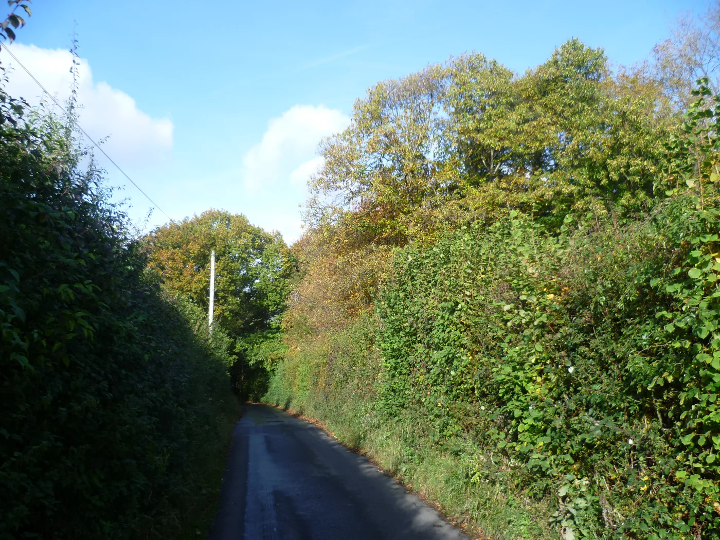 Charmwood Lane in the Bromley green belt, photographed in October 2012. The photo shows the lane, not the proposed site.