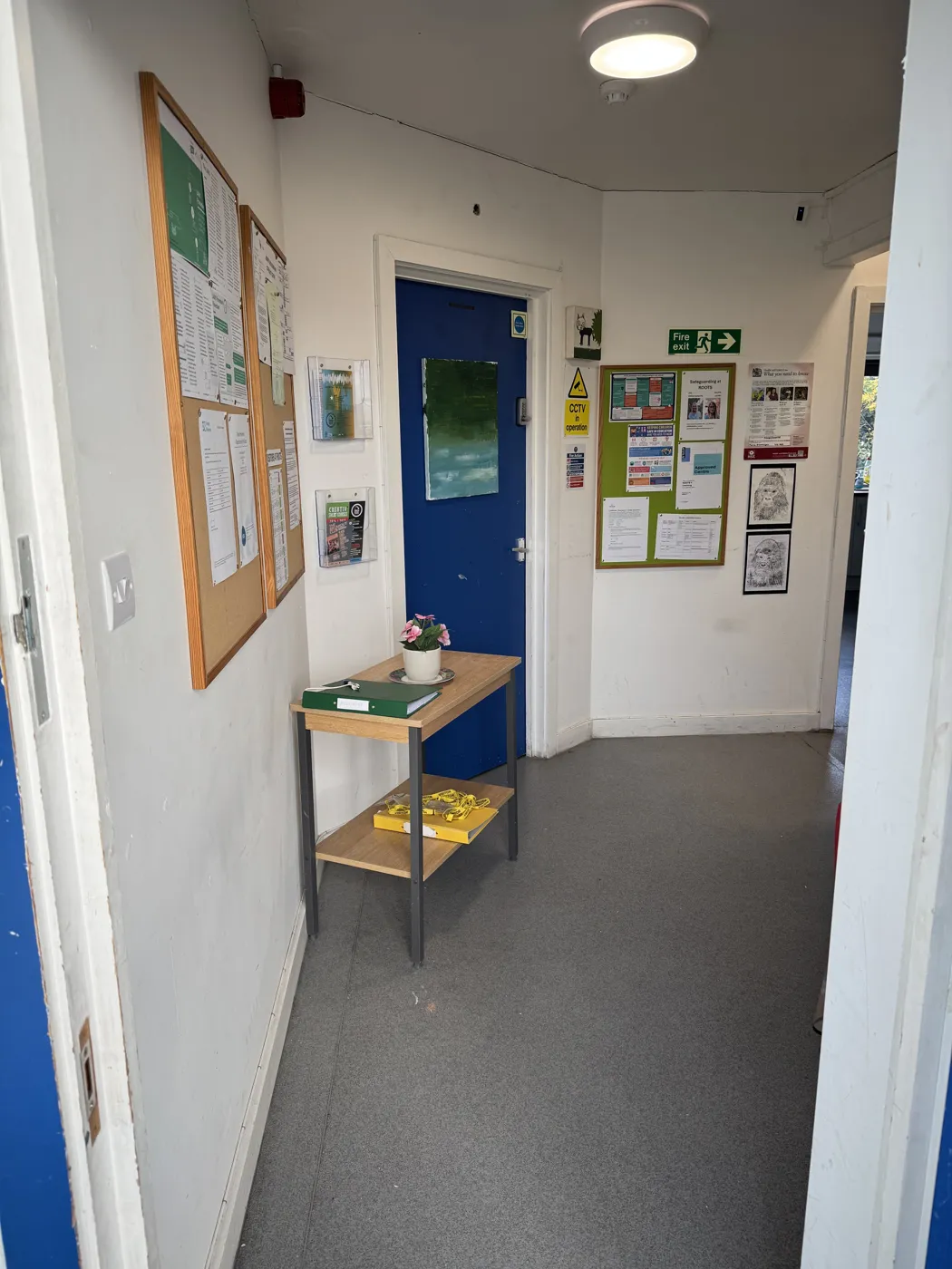 A corridor at Roots4Learning with noticeboards, a small shelf with a plant and a blue door